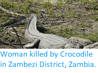 http://sciencythoughts.blogspot.co.uk/2018/03/woman-killed-by-crocodile-in-zambezi.html