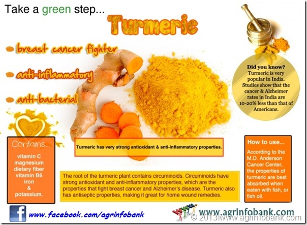 turmeric3