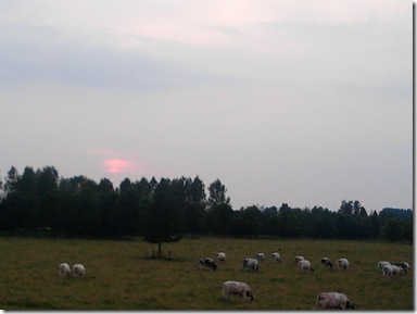 2011-06-05 21.18.33