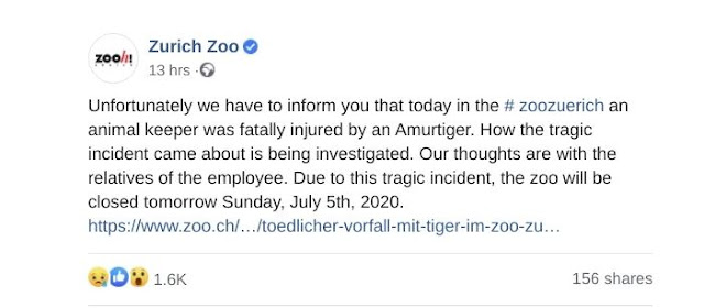 Tiger mauls female zookeeper to death in front of horrified visitors