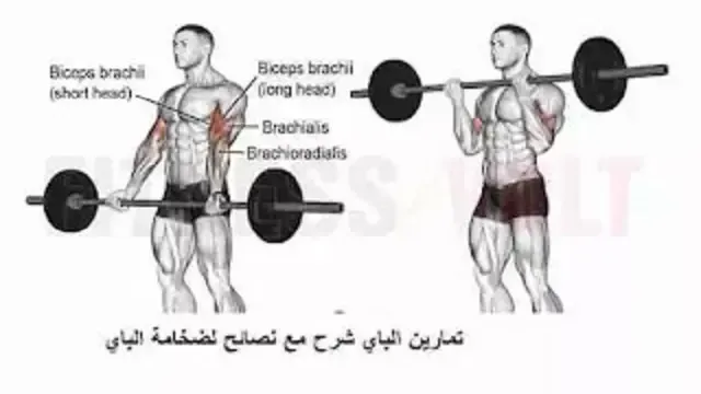 تمرين الباي بالبار المستقيم