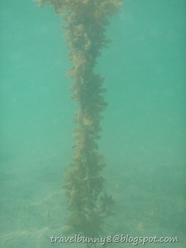 P9060369