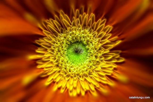 Fractalius Flower