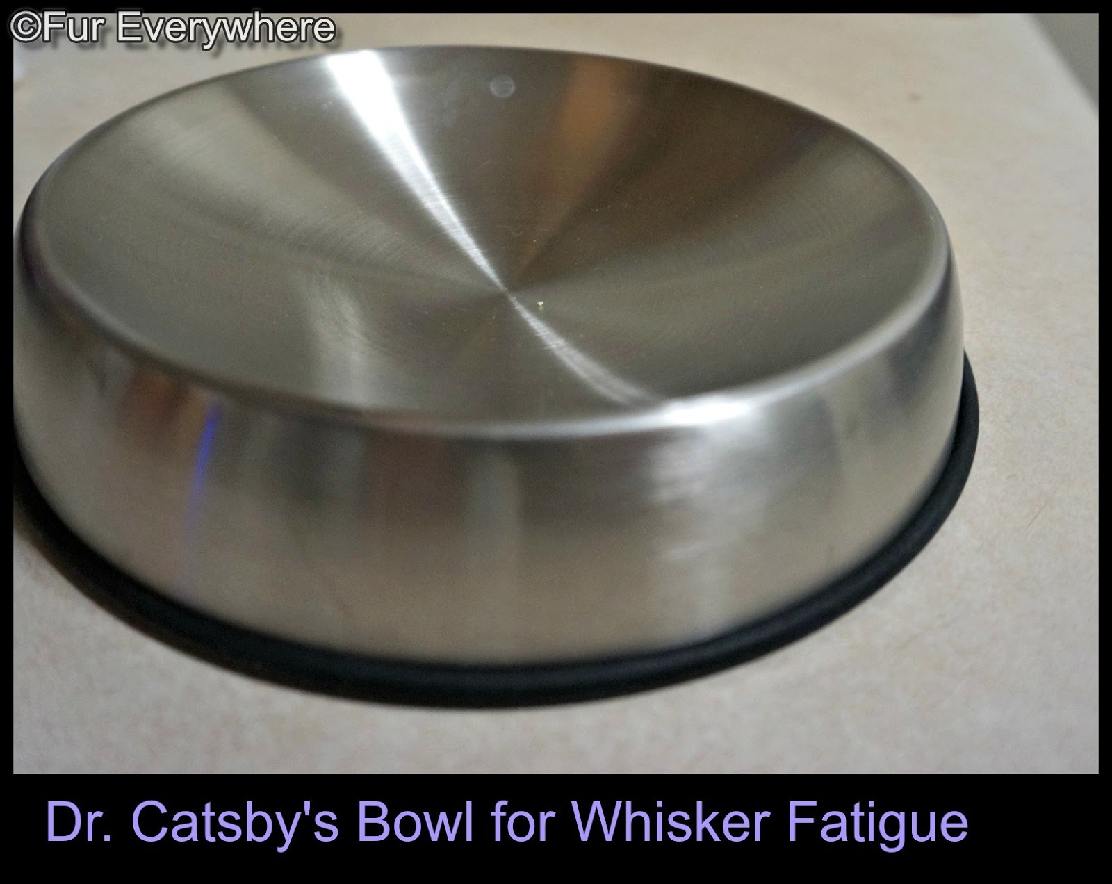 Dr Catsby s Bowl for Whisker Fatigue