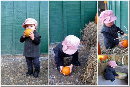 Pumpkin Patch Two1