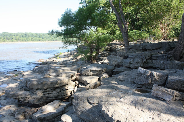 Exposed fossil beds at the Falls of the Ohio State Park in Indiana