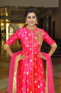 Shamili in Pink Anarkali Dress 10.JPG