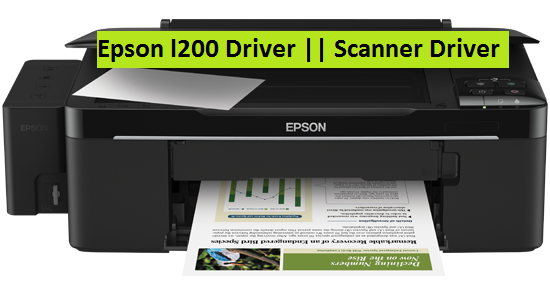 Scanner epson xp 215 217 Windows 10 driver