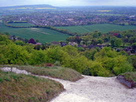 Whiteleaf Cross