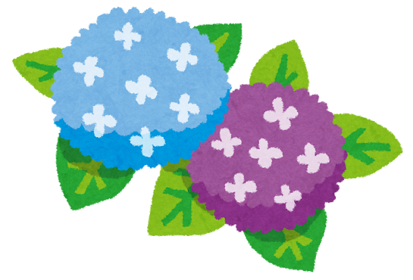 梅雨のイラスト 紫陽花 かわいいフリー素材集 いらすとや 梅雨のイラスト 紫陽花 かわいいフリー素材集 いらすとや