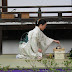 Tea Ceremony : Cherry Blossom [Special Edition]