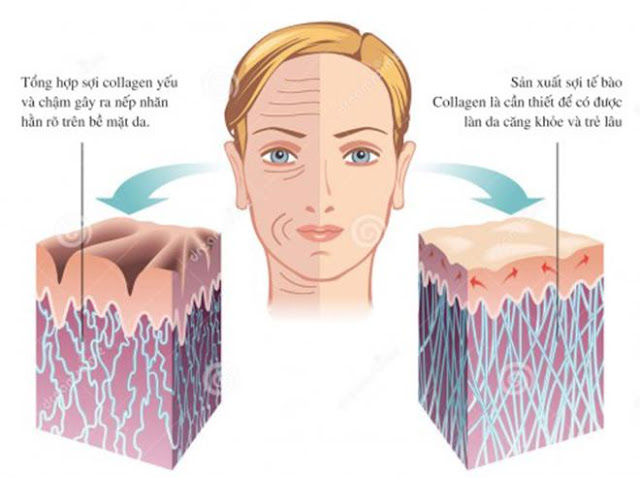 Uống collagen có tác dụng gì? Top 6 lợi ích của collagen