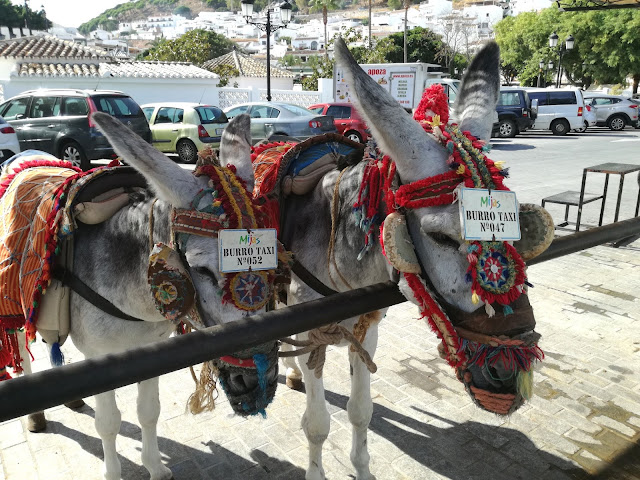 Typ ludzi co kocha pstrykać fotki ładnym widokom i czemu warto pojechać do Mijas