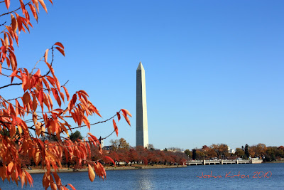 Washington Monument Washington D.C.