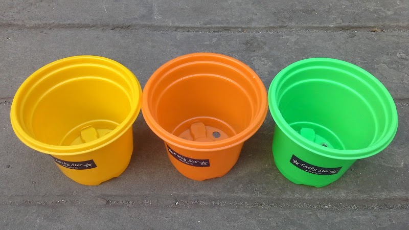 24+ Jual Pot Bunga Plastik Warna Warni