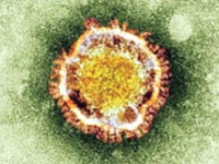 Hati-Hati Virus Mers Menyebar ke Indonesia