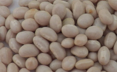 white kidney beans for weight loss