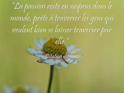 √ 100 ou plus citation marguerite 208896-Marguerite duras citation