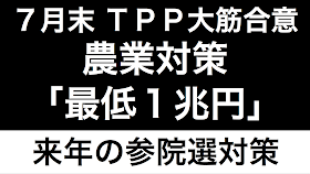 TPP農業対策最低１兆円参院選対策