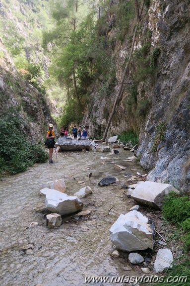 Sierra de Enmedio - Cruz del Pinto - Río Chíllar