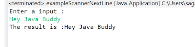 nextLine method in java