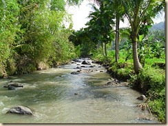clip_image003[4]