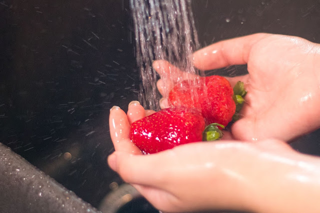 How to Make a Flower Garden School Lunch Recipe Plus Learn Food Safety Tips!