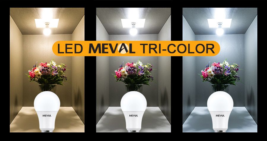 meval tri colour