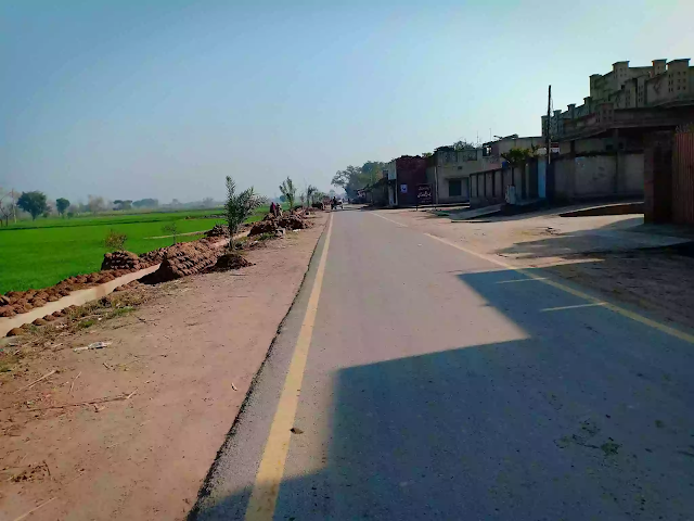 Chak 493 GB Odanwala (Hussainpur) | Village in Punjab, Pakistan