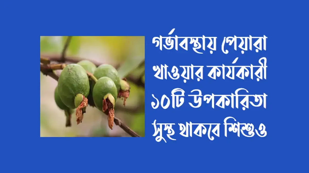 গর্ভাবস্থায় পেয়ারা খাওয়ার উপকারিতা