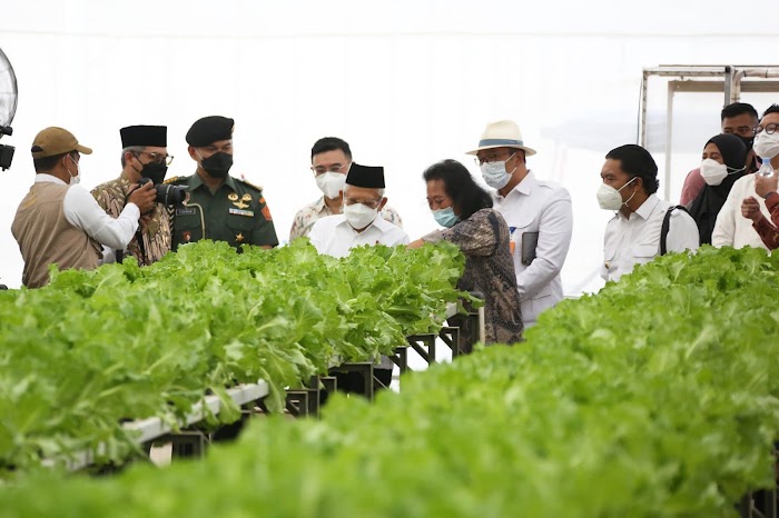 Pj Gubernur Banten Dampingi Wapres Ma'ruf Amin Tinjau PT Singapura Fresh Green Makmur