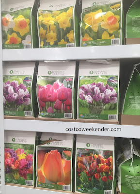 Longfield Gardens Fall Flower Bulbs Premium Collection: great for any backyard
