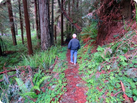 Paul on trail