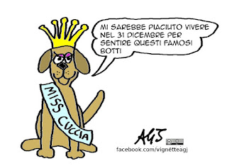 Miss Italia, botti di capodanno, animali, 2016, buon anno, vignetta satira