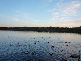 Drumpellier Country Park