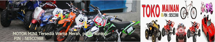 USAHA MINI MOTOR