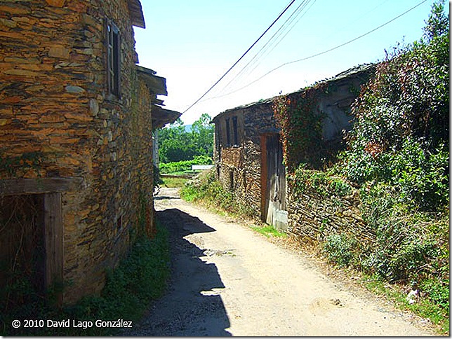 GALICIA_Freituxe (Lugo) 114 (12)