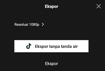 Export Tanpa Tanda Air