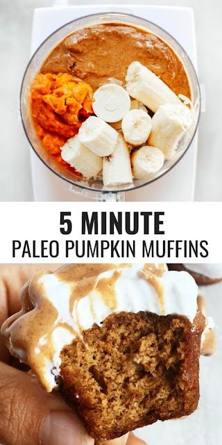 Gluten Free Paleo Pumpkin Protein Muffins Recipes