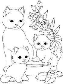 3 kedi