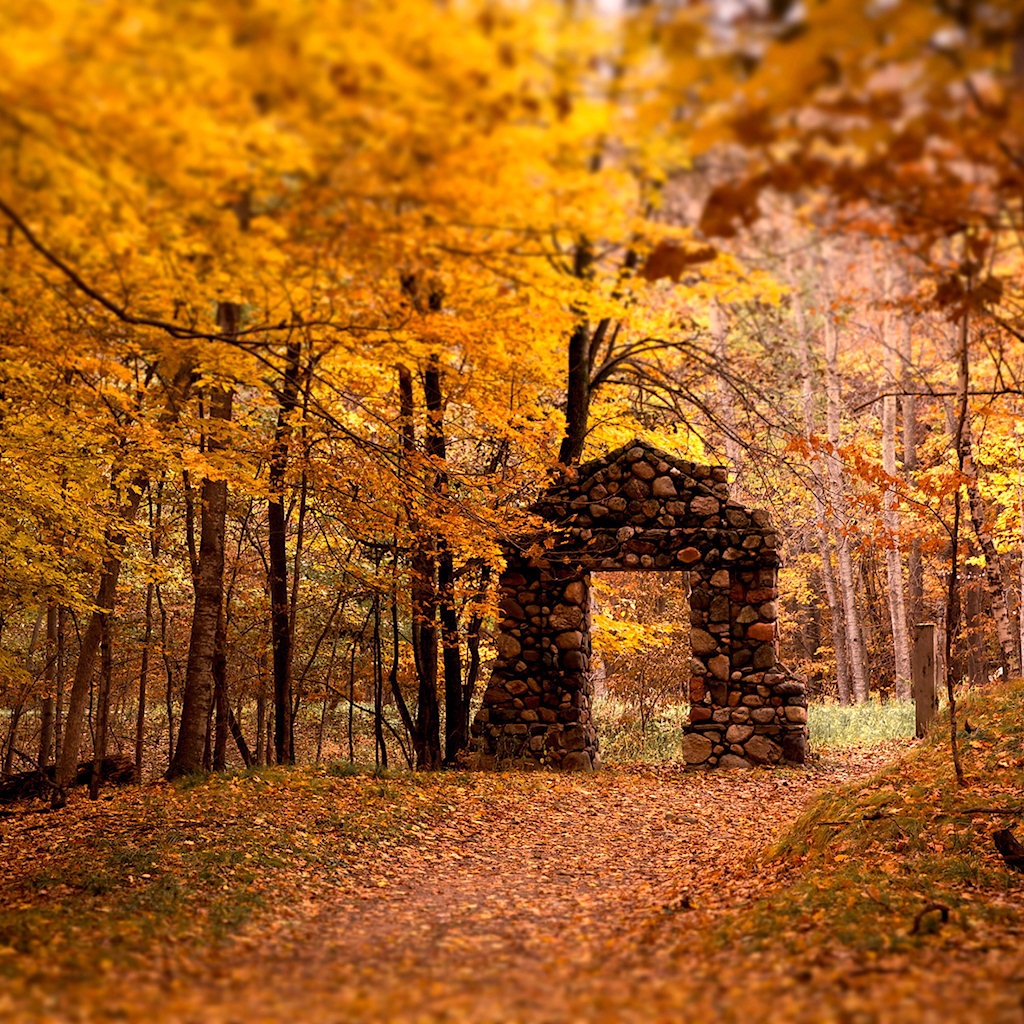 autumn wallpaper autumn wallpaper autumn wallpaper autumn wallpaper ...