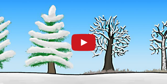 How do Trees Survive During the Winter Months