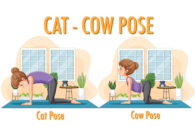 Cat-Cow Yoga