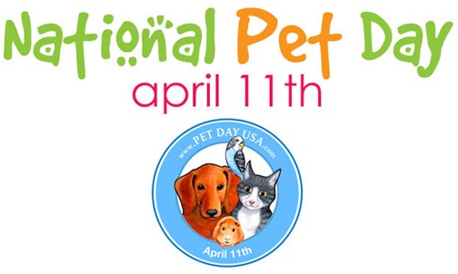 national pet day usa