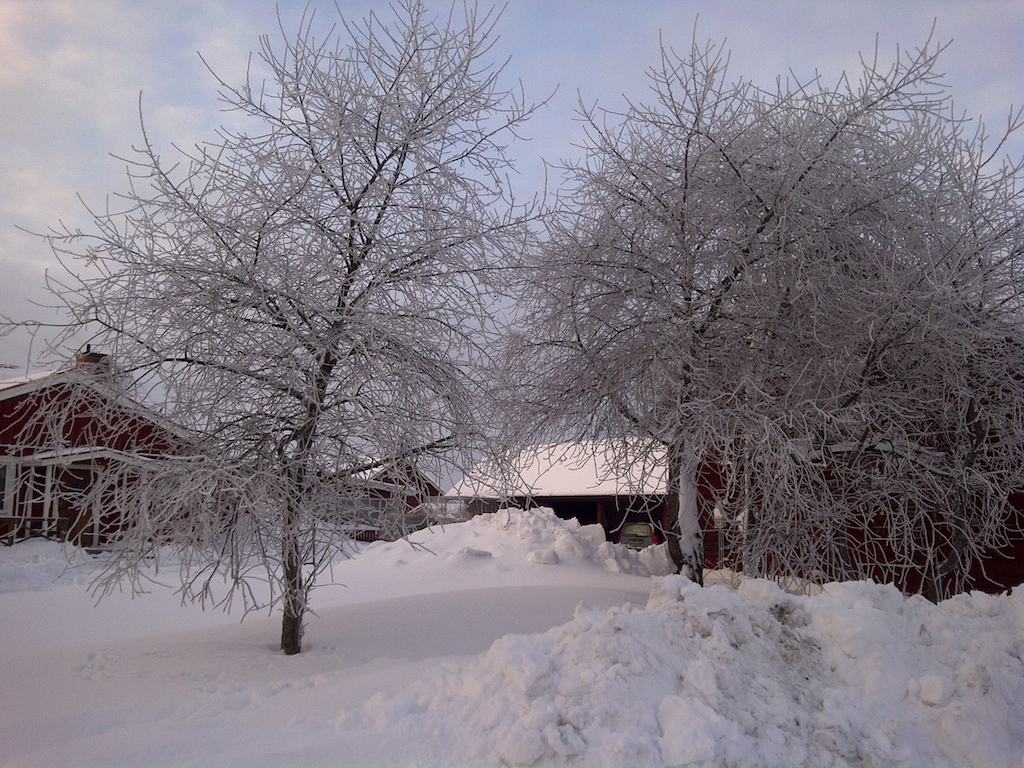 christmas snow scene