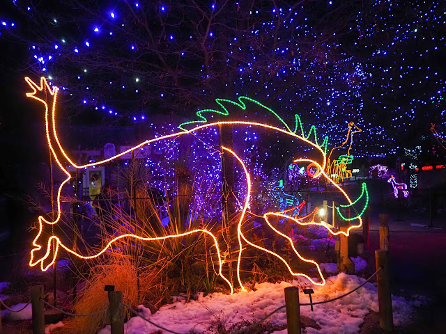 Zoo Lights at Denver Zoo