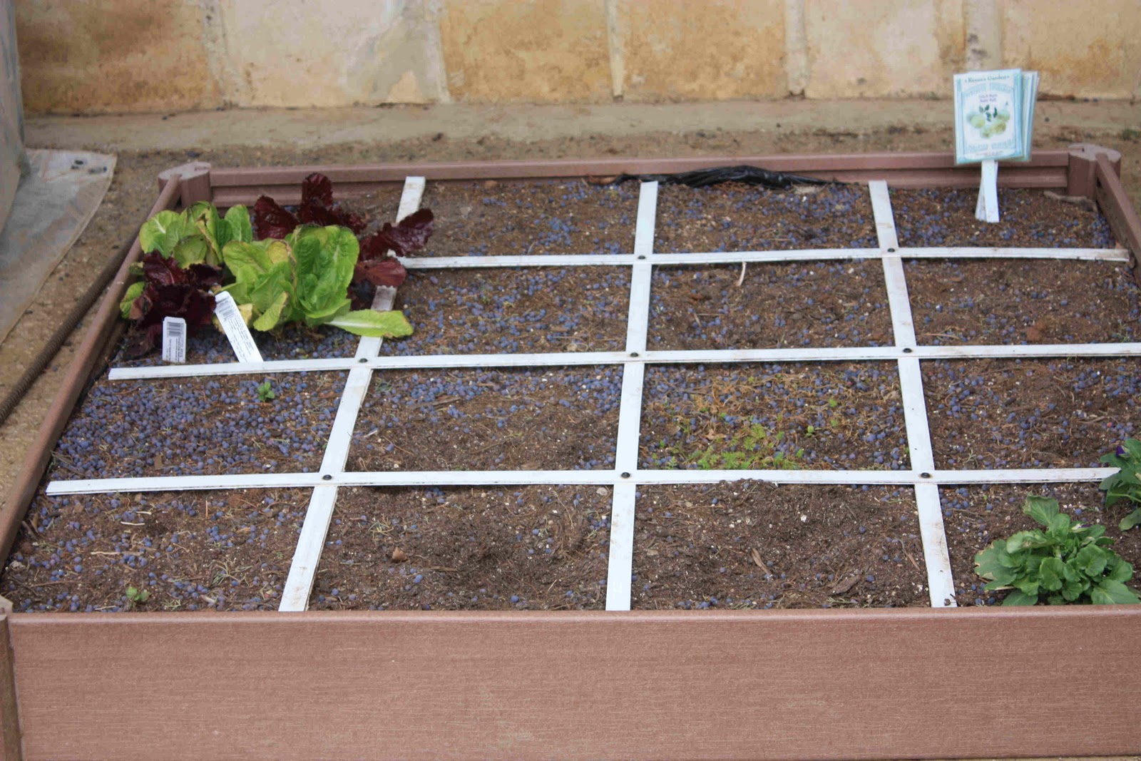 Musings from the Texas Hill Country: Square Foot Gardening Designs