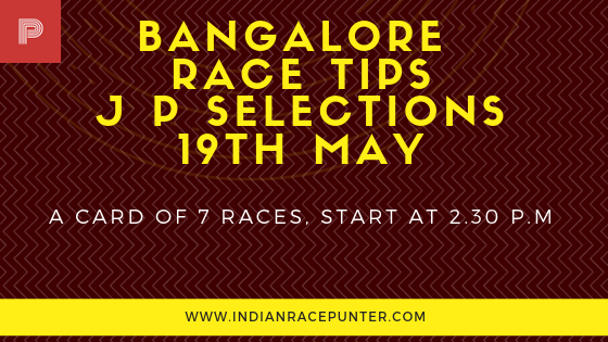 india race tips, trackeagle, racingpulse