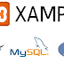 How To Install A Local Web Server With XAMPP