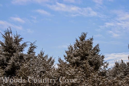 JANUARY 2015 (18 of 39)